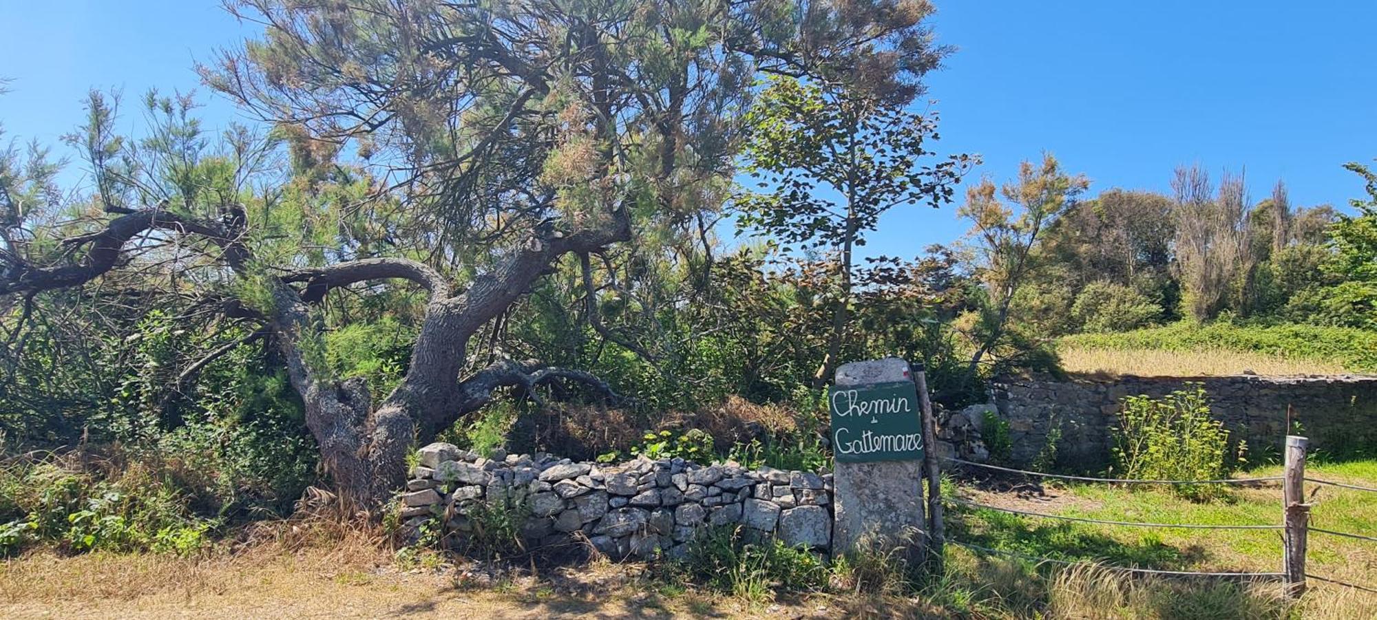 Relais Des Iles Saint Marcouf Villa Екстериор снимка